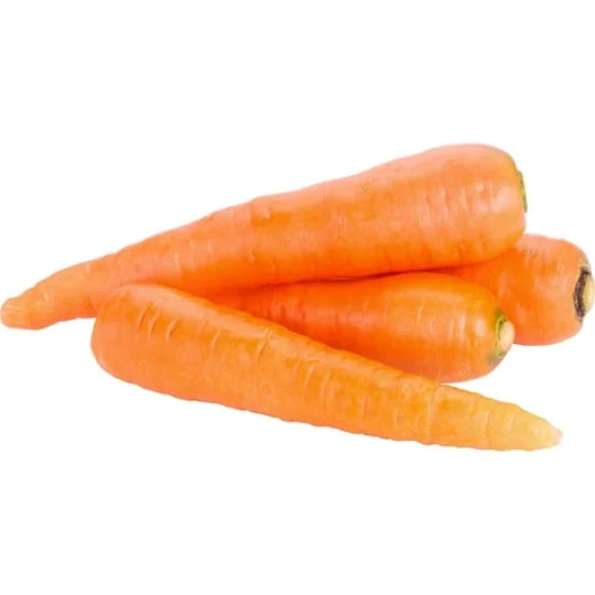 Carottes agroécologie