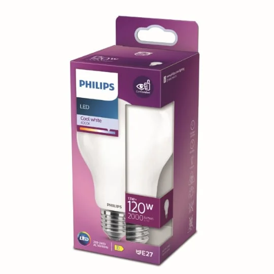 Ampoule LED E27 Standard Blanc-froid 120W x1