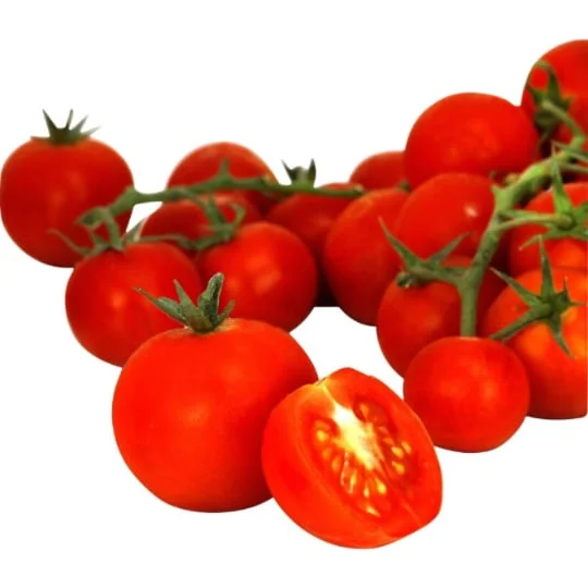 Tomates cerises en grappe