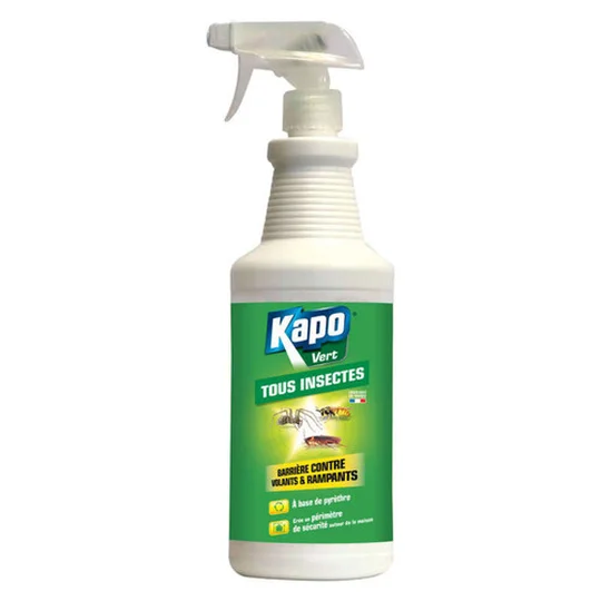 Repouss' Insectes Vertl
