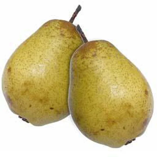 Poires rocha