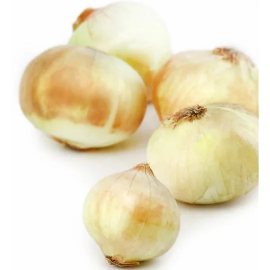 Oignons doux des Cévennes agroécologie