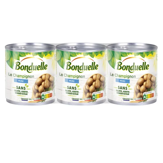 Le champignon mini sans sulfite, additif et conservateur