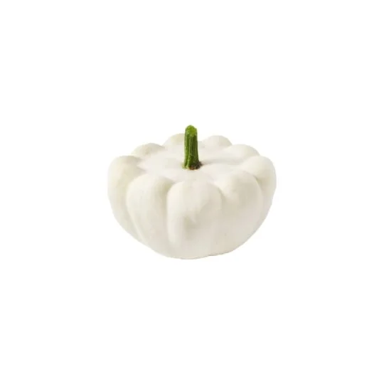 Courge Patisson Bio