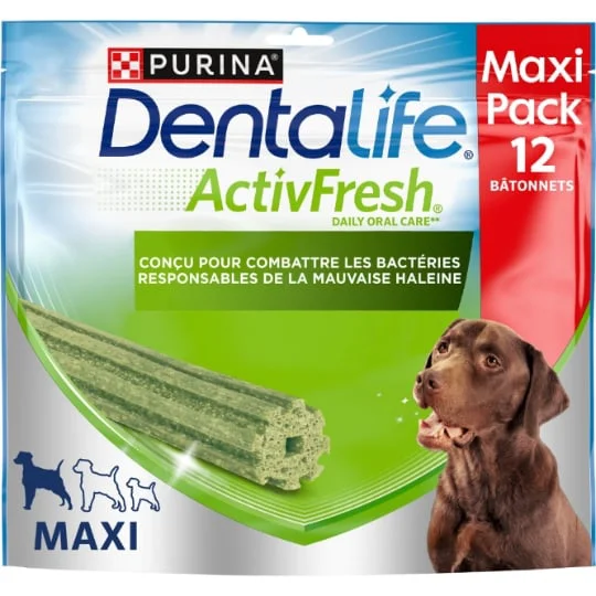 Friandise pour chien maxi à mâcher