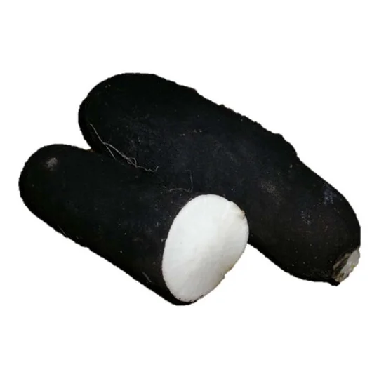 Radis Noir