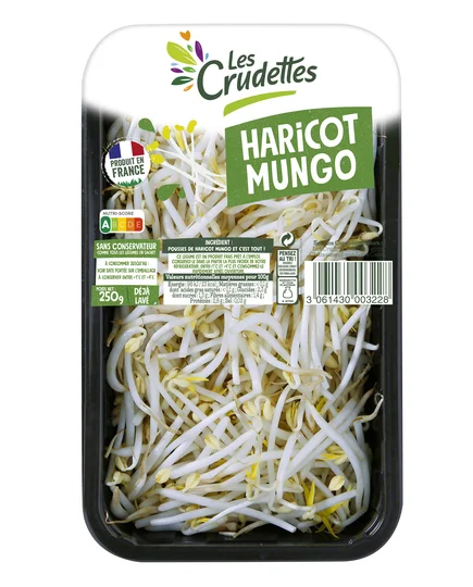 Pousses haricot Mungo