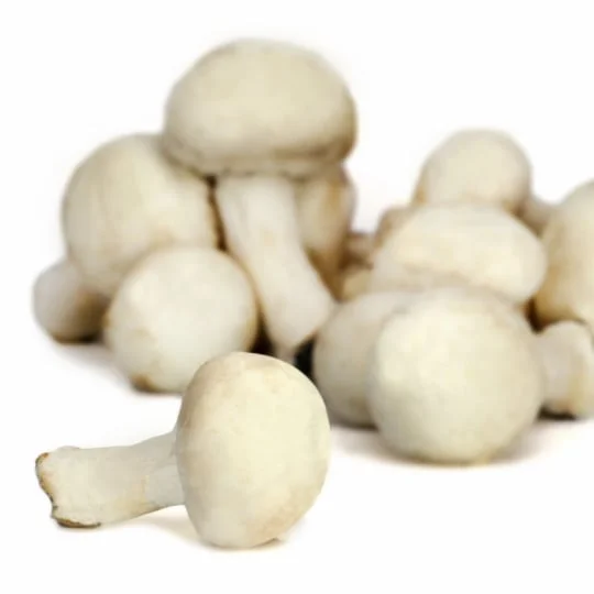 Champignons de Paris blancs