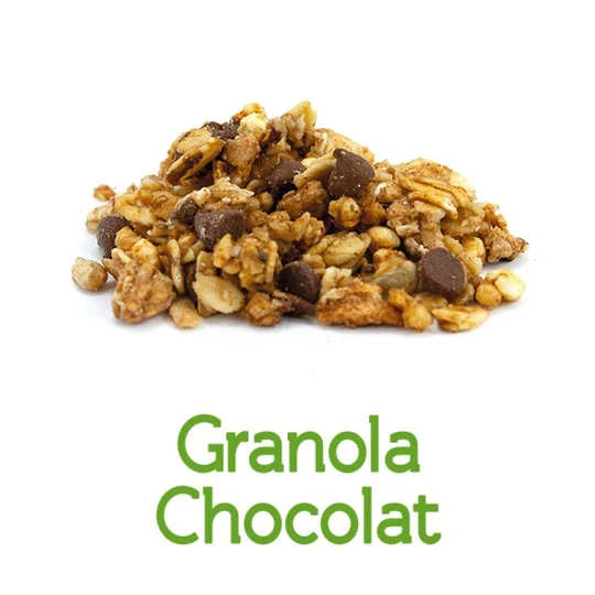 Granola Chocolat JusteBio vrac