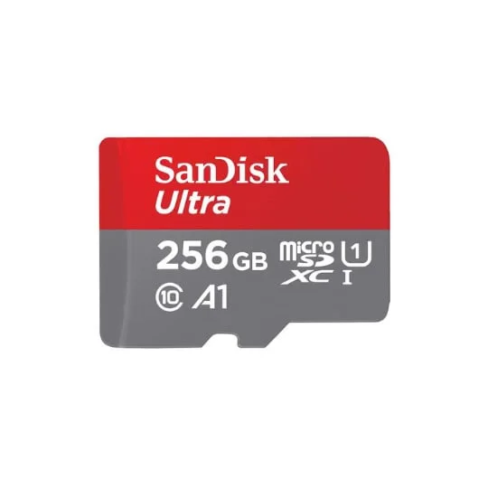Carte mémoire micro SDHC/SDXC 256 Go