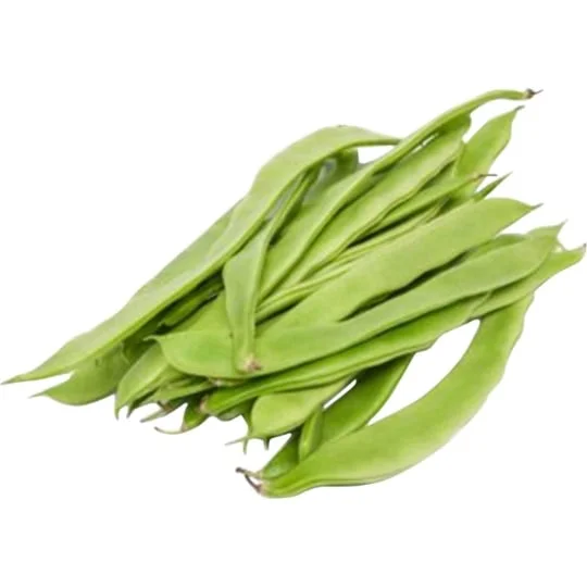 Haricots verts plats Bio