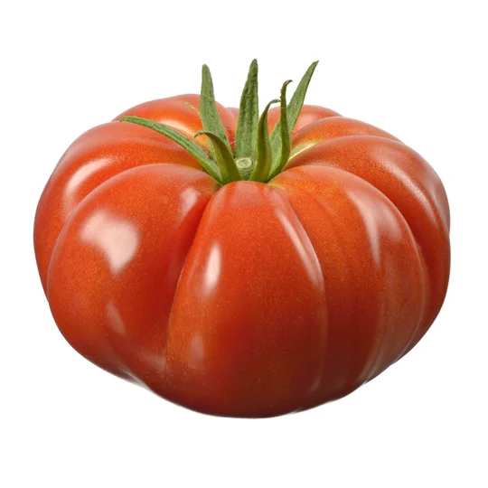 Tomate ancienne côtelée rouge