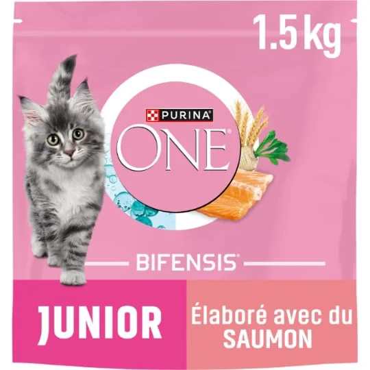 Croquettes pour chat junior de 1 à 12 mois au saumon