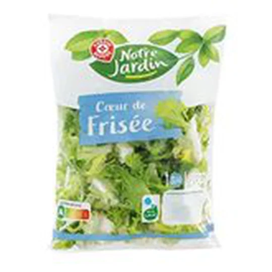 Coeur de frisée Notre Jardin