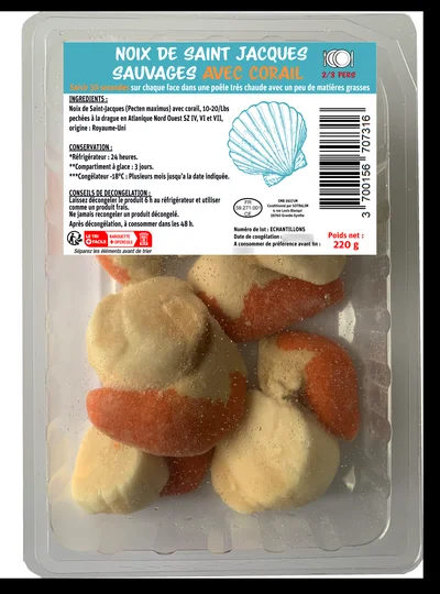 Noix de Saint Jacques sauvages avec corail