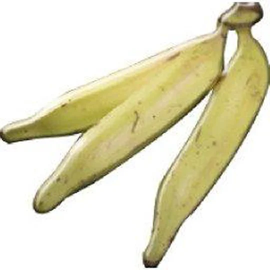 Bananes PLANTAIN