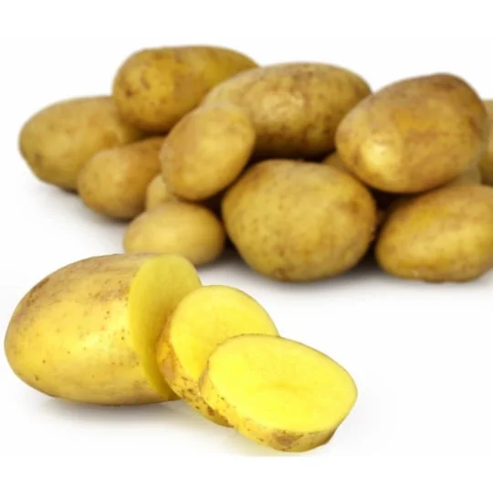 Pommes de terre primeur Agata