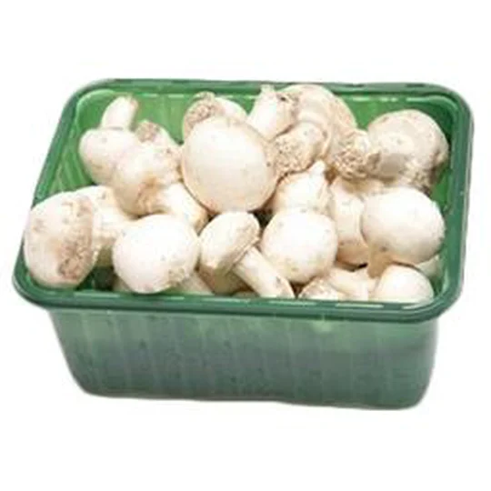 Champignons DE PARIS, Pieds entiers