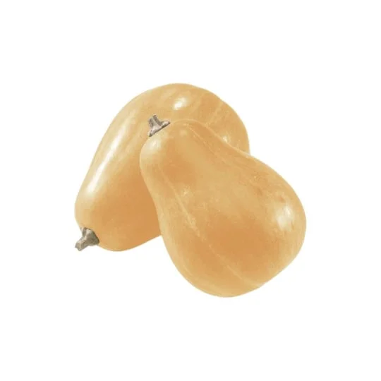 Courge Sucrine du Berry Bio