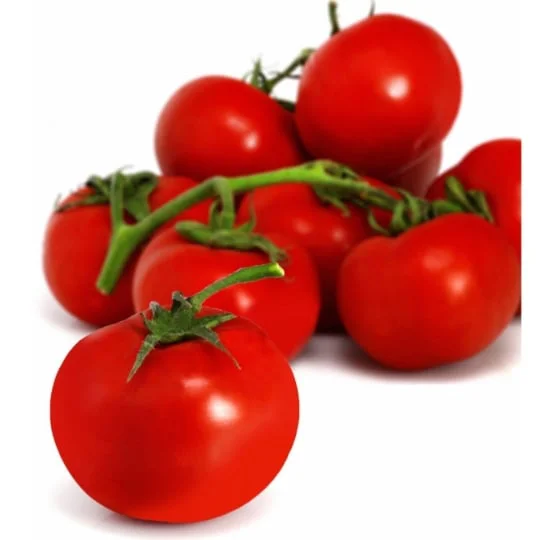 Tomates rondes en grappe Bio