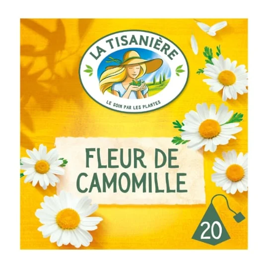 Infusion fleur de camomille