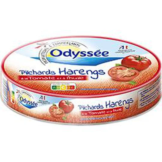 Pilchards harengs à la tomate et à l'huile