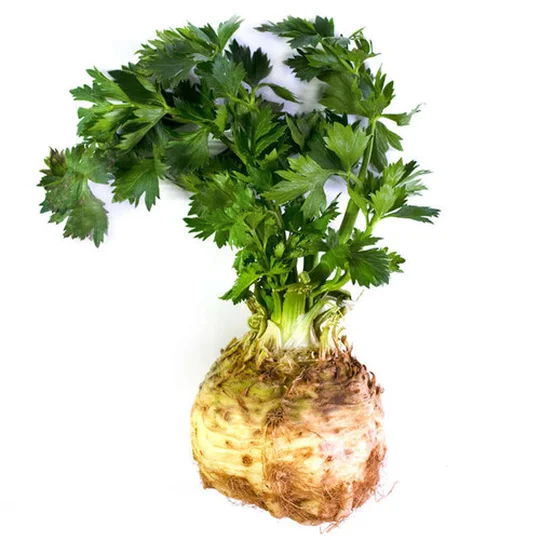 Celeri Rave Calibre L France