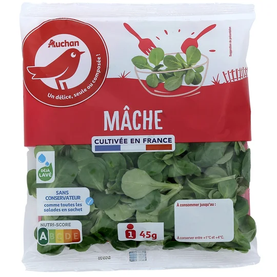 Mâche