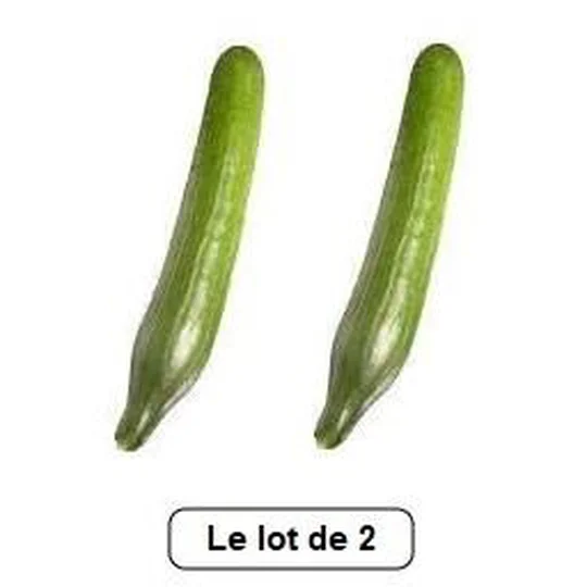 Concombre