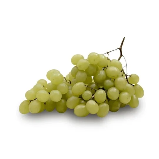 Raisins blancs sans pépin Bio