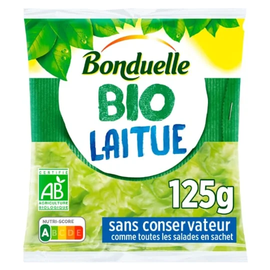 Salade Bio laitue