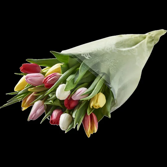 Bouquet de 14 tulipes arlequin