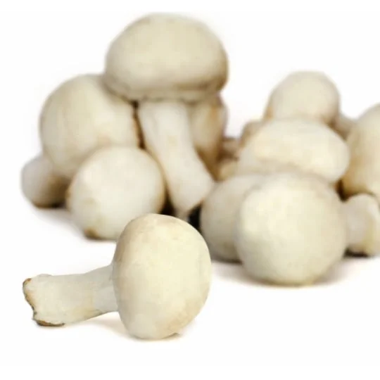 Champignons blancs
