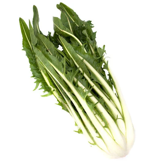 Puntarelle