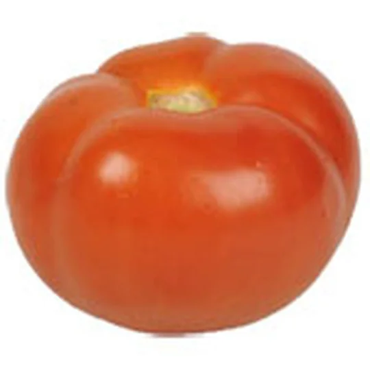 Tomate ronde à farcir