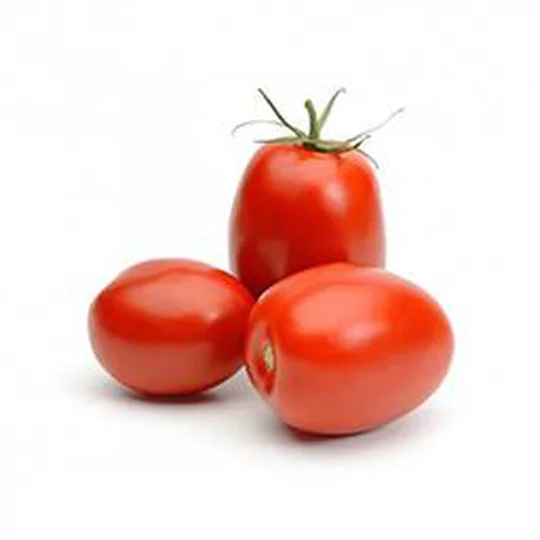 Tomate ALLONGEE