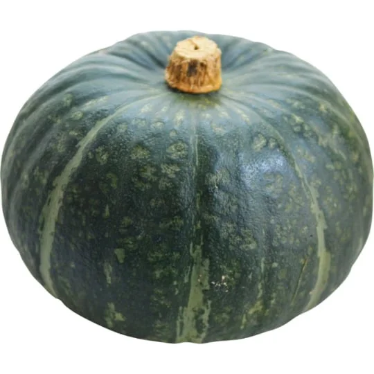 Courge Buttercup Bio