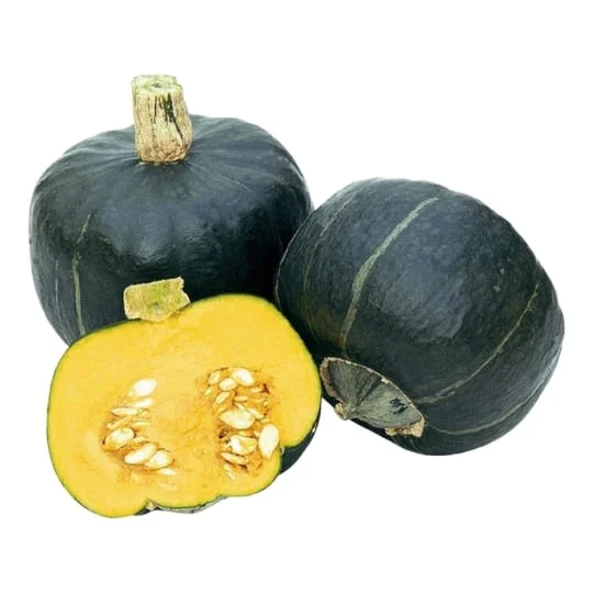 Courge découverte agroécologie