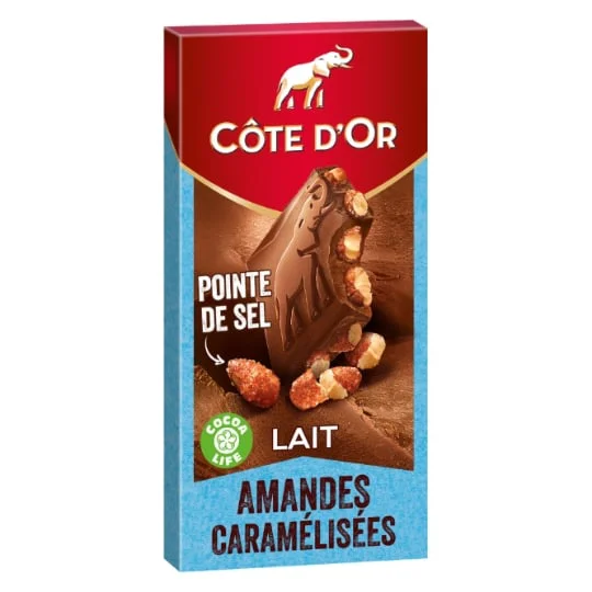 Chocolat au lait à la pointe de sel et aux amandes caramélisées