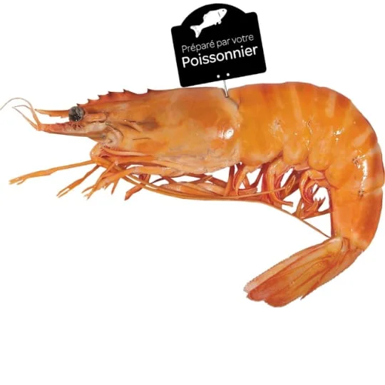 Crevettes sauvage cuite U10