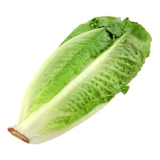 Salade romaine