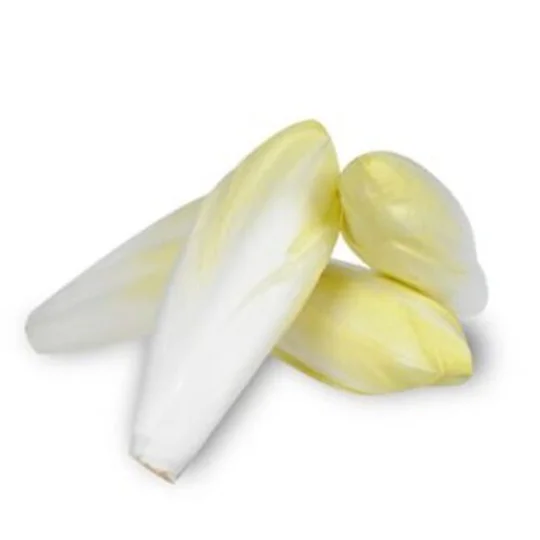 Endive bio