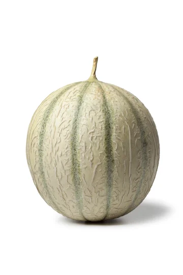 Melon charentais Prix Bas