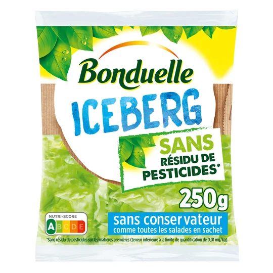 Iceberg sans résidu de pesticides