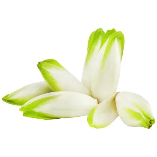 Endives jeune Pousse