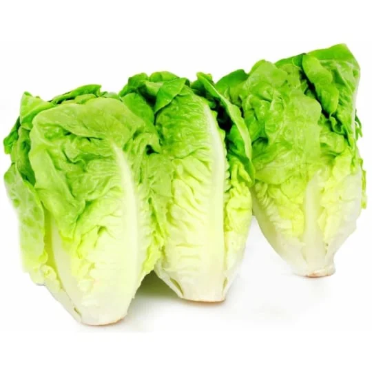 Salade sucrine