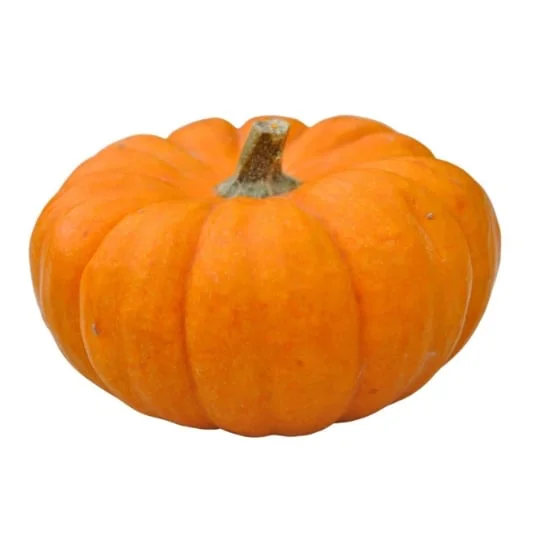 Citrouille Jack be little