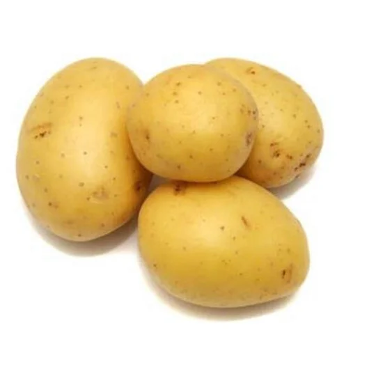 Pomme De Terre Princesse Amandine C1