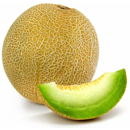Melon Galia