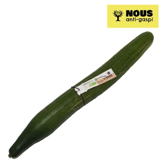 Concombre Bio